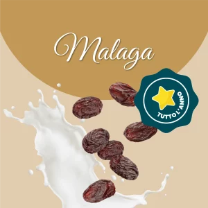Si vede un'immagine che racchiude i principali ingredienti del malaga: latte e uvetta