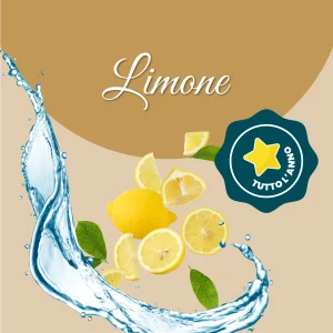 Si vede un'immagine che racchiude i principali ingredienti del limone: acqua e limone