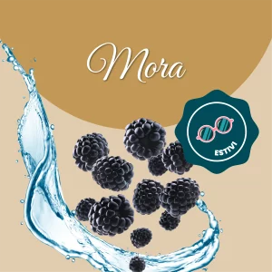 Si vede un'immagine che racchiude i principali ingredienti di mora: acqua e more fresche.