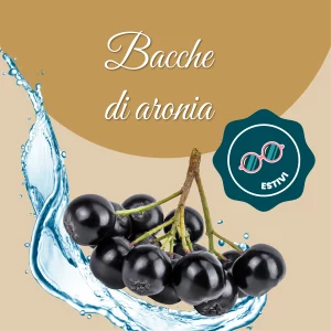 Si vede un'immagine che racchiude i principali ingredienti di bacche di aronia: acqua e bacche di aronia appena colte.